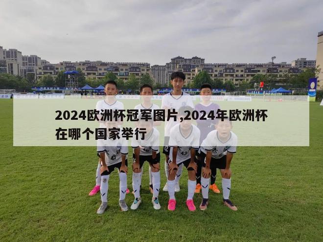 2024欧洲杯冠军图片,2024年欧洲杯在哪个国家举行