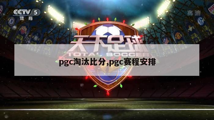 pgc淘汰比分,pgc赛程安排