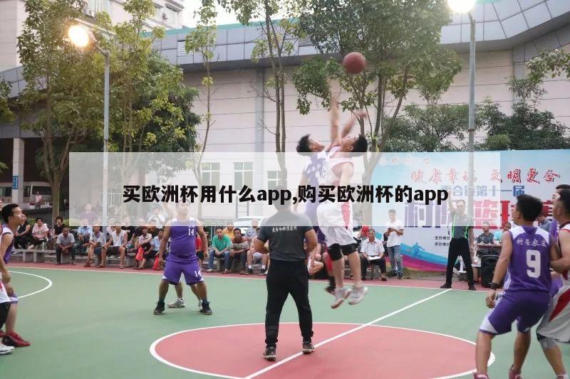 买欧洲杯用什么app,购买欧洲杯的app