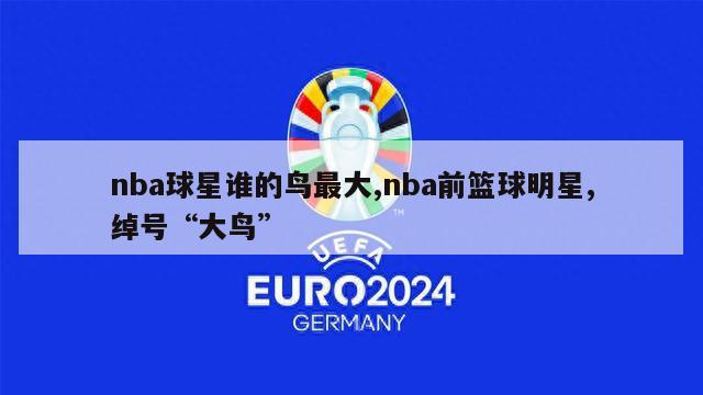 nba球星谁的鸟最大,nba前篮球明星,绰号“大鸟”