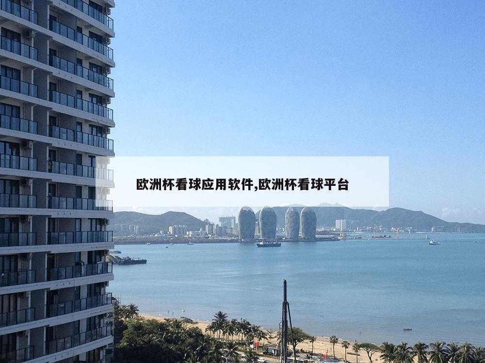 欧洲杯看球应用软件,欧洲杯看球平台