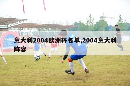 意大利2004欧洲杯名单,2004意大利阵容