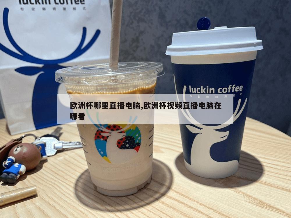 欧洲杯哪里直播电脑,欧洲杯视频直播电脑在哪看