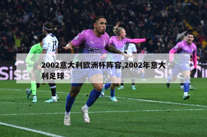 2002意大利欧洲杯阵容,2002年意大利足球